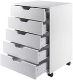 Winsome 10519 Halifax 5-Drawer Composite Wood Cabinet, White